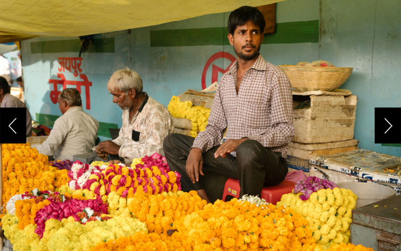 Marigolds in hues of orange, yellow, and red spill across the table that flower sellers set up in the streets of Jaipur, Rajasthan, India. 