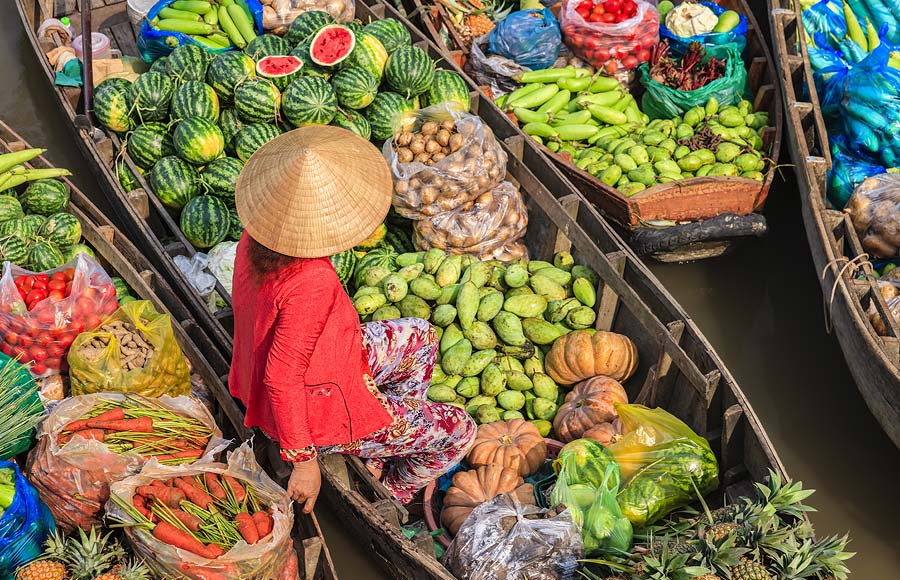 Vietnamese woman selling fruits on floating market, Mekong River Delta, Vietnam.