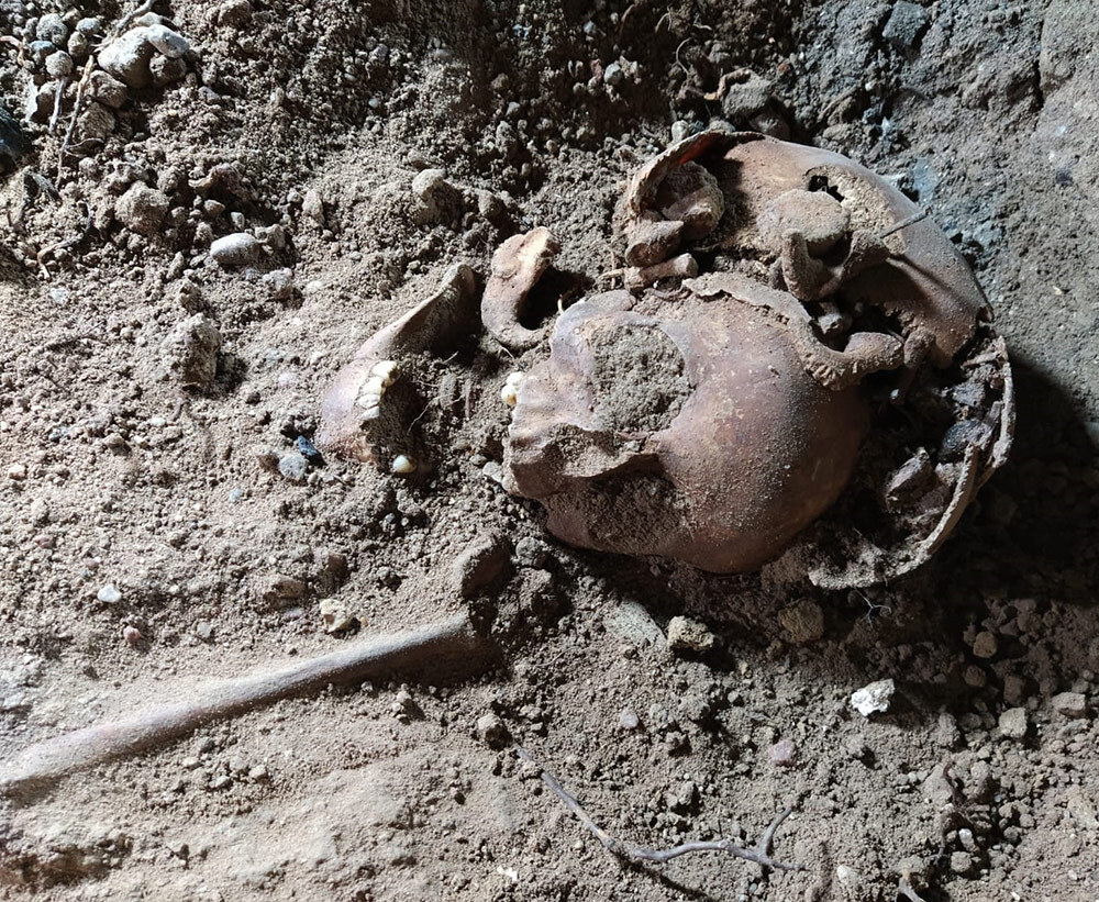 A skull is visible and can be seen amongst the dirt