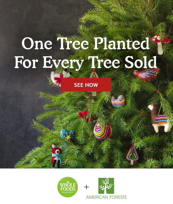 One Tree Planted For Every Tree Sold