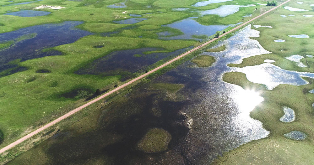 A picture of a path crossing a wet, marshy area