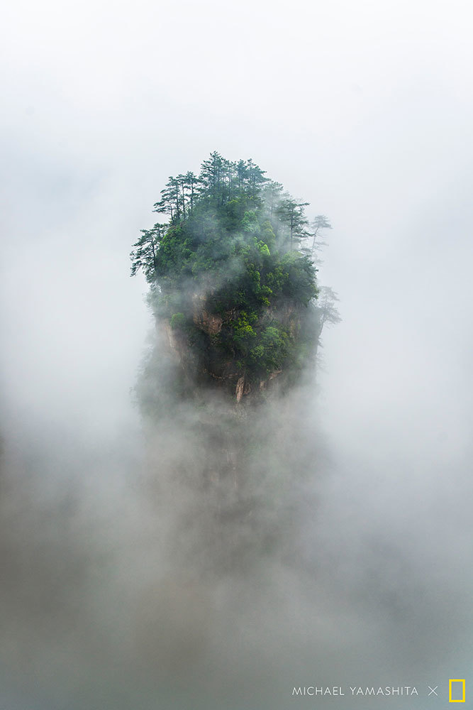 A picture of a forest growing on a narrow cliff surrounded by clouds