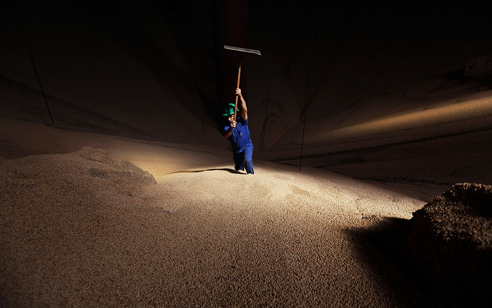 A man works in a mountain of soybeans