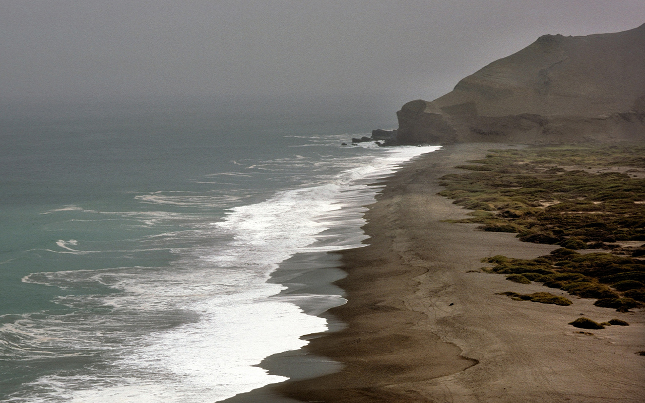 Ancient human remains from Chile's north coast have been analyzed using a modern forensic technique that identifies drowning victims.