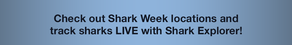 Check out Shark Week locations and track sharks LIVE with Shark Explorer!