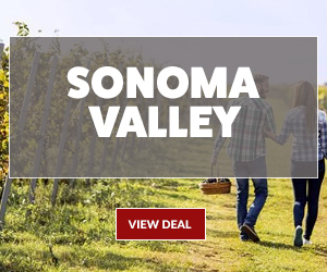 Wine & Relaxation Await in Sonoma Valley