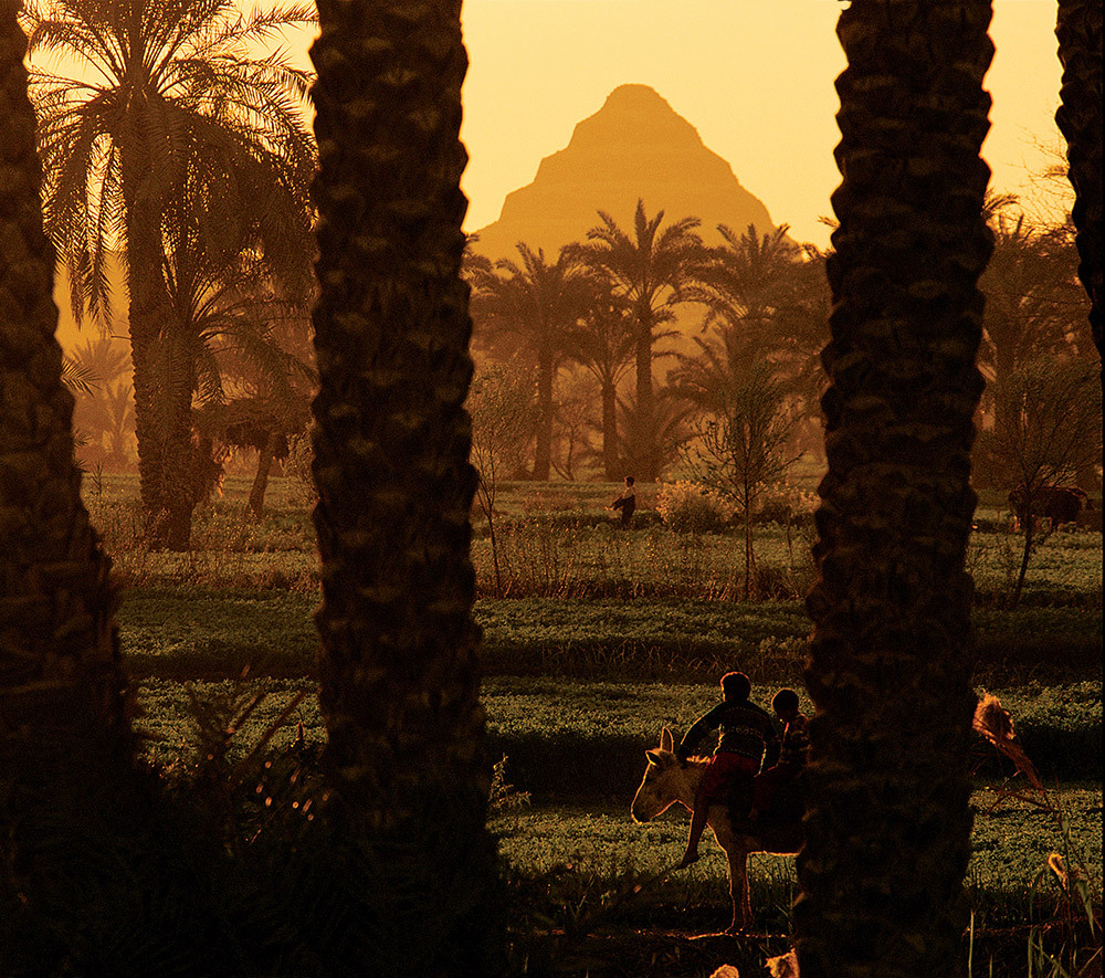 Chlildren ride a donkey near the Step Pyramid of Djoser at sunset.