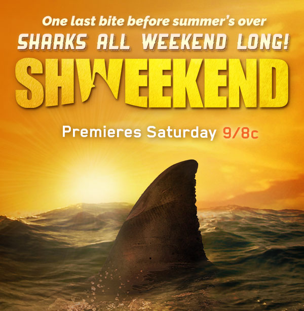 One last bite before summer's over. Sharks all weekend long! Schweekend: Premieres Saturday at 9/8c on Discovery.