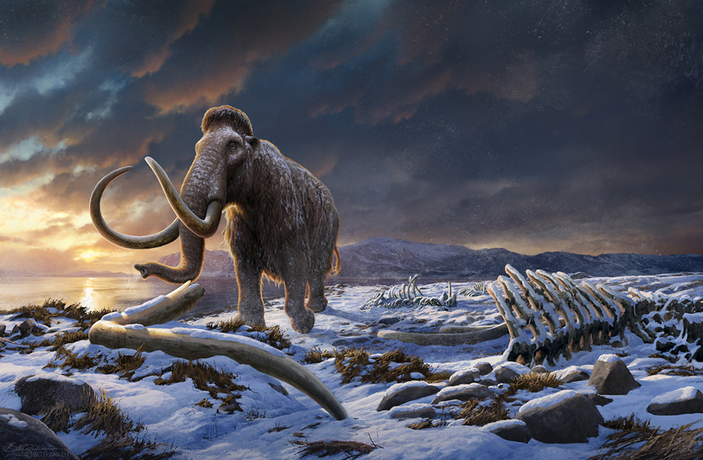 An illustration depicting the last wooly mammoth, standing alone on a snowy shore dotted with the bony remains of other mammoths