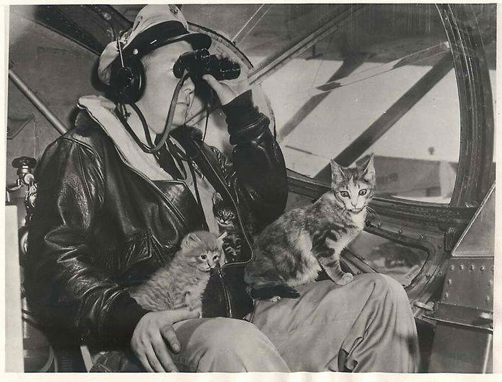 The crew of a U.S. Coast Guard seaplane noticed too late that Salty the cat had snuck on board with her kittens in 1945.