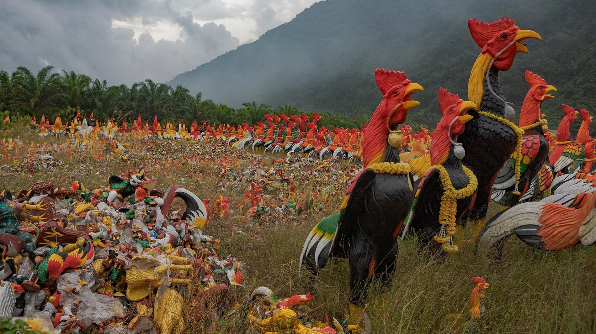 Visitors to Wat Chedi, a temple in southern Thailand, have donated countless chicken figures to honor Ai Khai (or Egg Boy), a statue housing the spirit of a boy said to bring good luck.