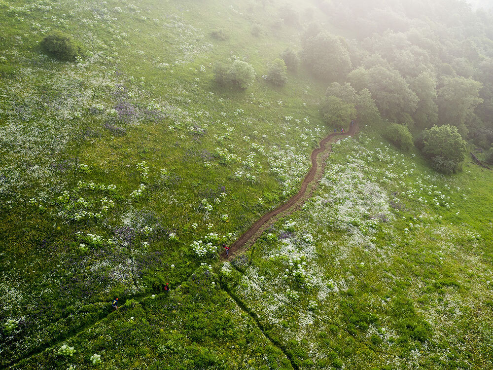 An aerial photo of a misty green trail