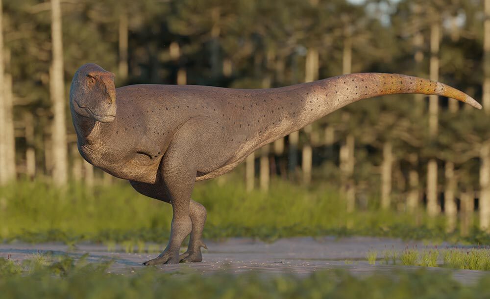 A computer illustration of the newly discovered Koleken dinosaur.