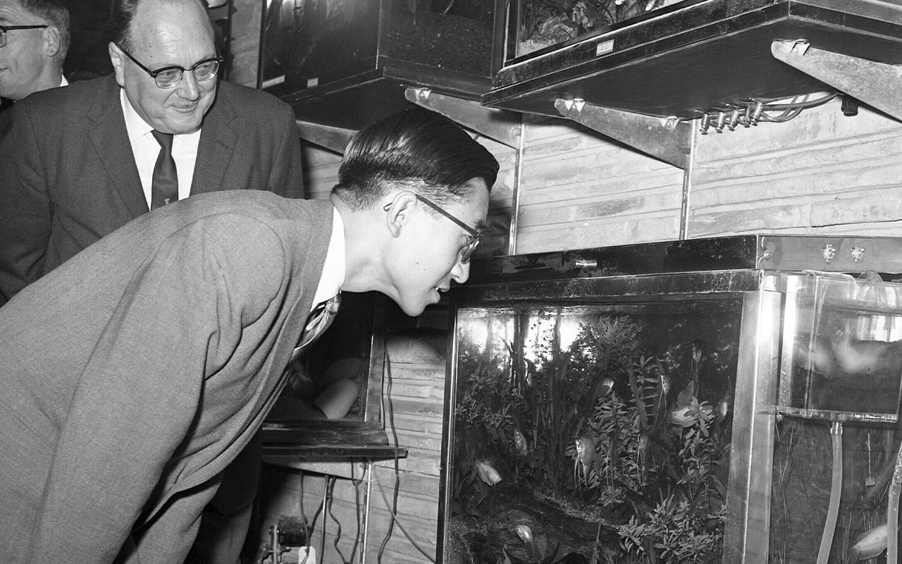 Crown Prince Akihito of Japan looks at tropical fish in New York on Sept. 30, 1960.