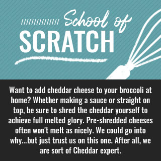 School of Scratch