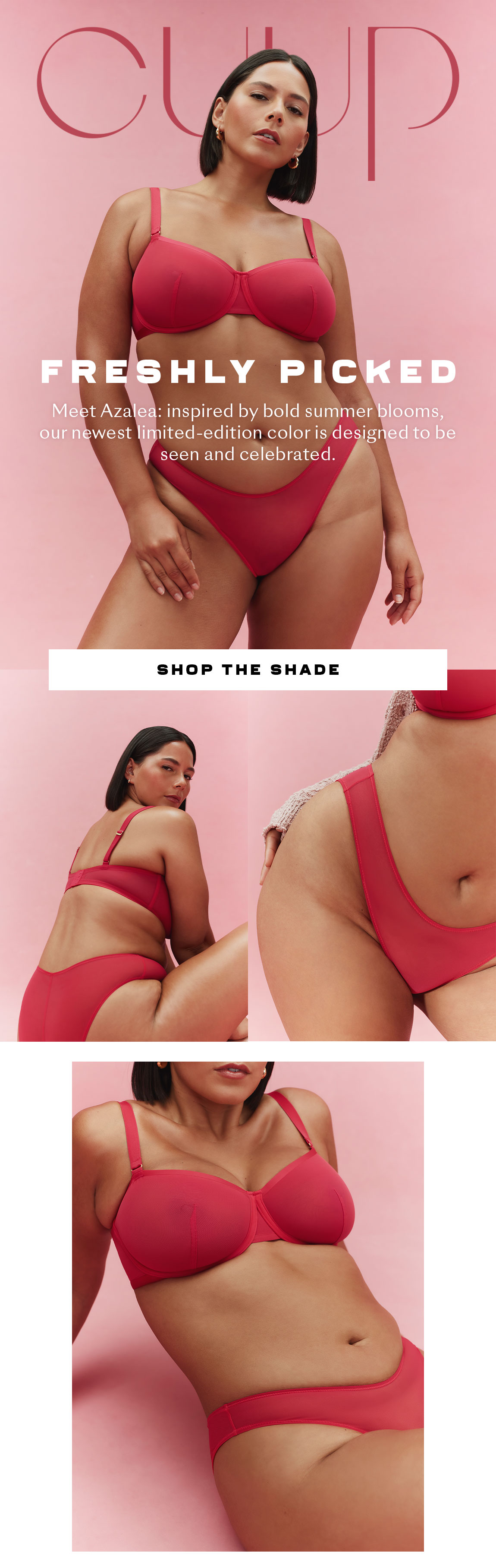 Shop the shade