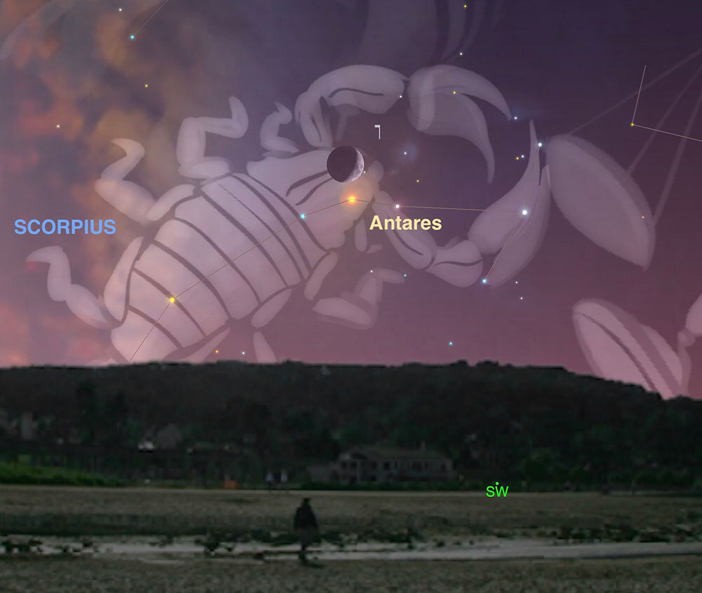 An illustrated scorpion in the night sky