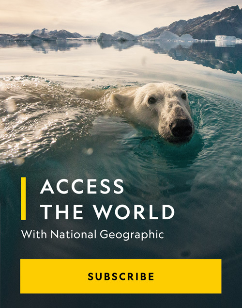 Access the world with National Geographic. Subscribe.