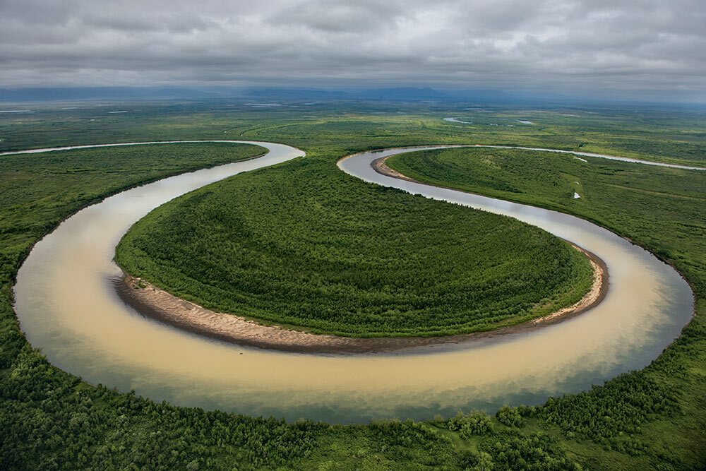 Ideal path for salmon swimming upstream to spawning grounds, the Vyvenka River loops through a floodplain free of roads and dams.