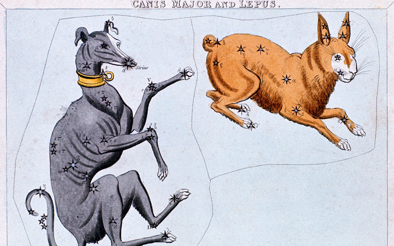 The constellations canis major and lepus.