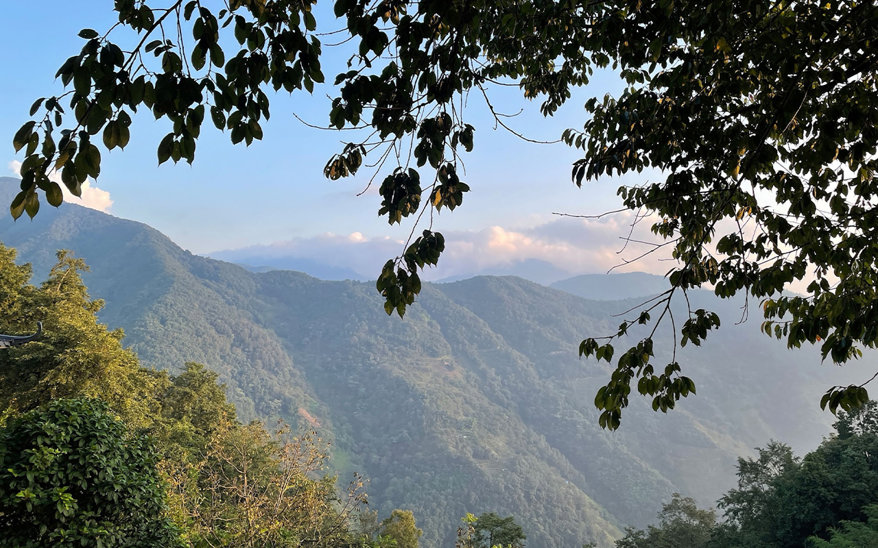 The Gaoligong range, some 300 miles long and topping 16,000 feet, is a green ark of life.