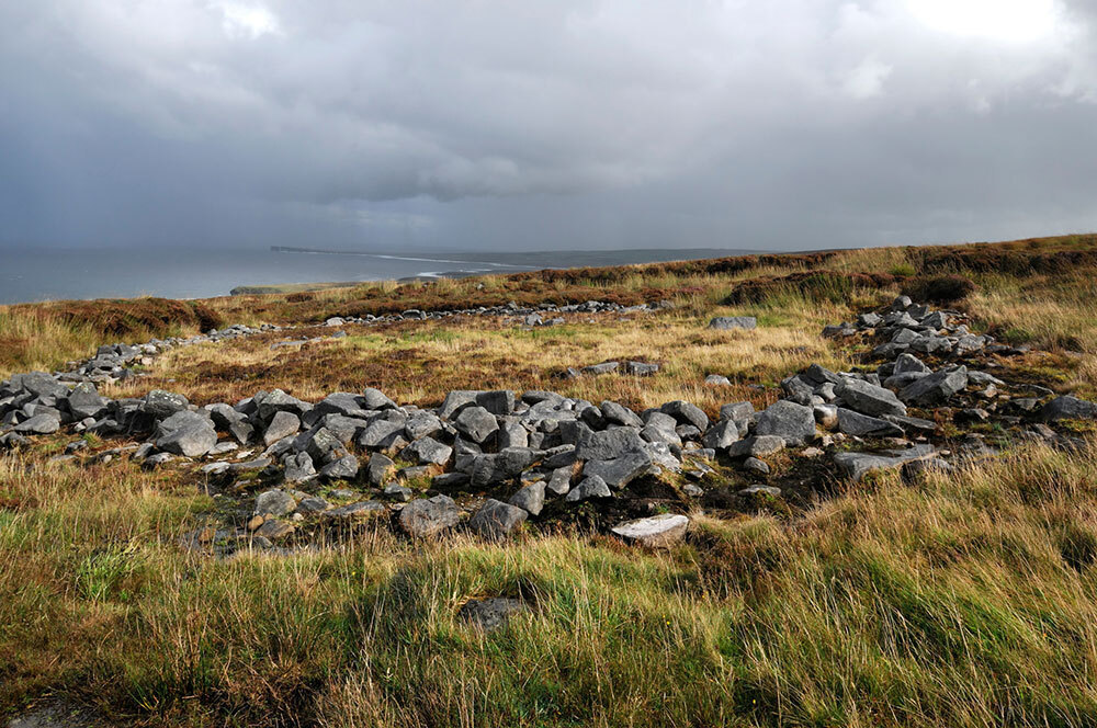 A grassy landscape with the sea in the background