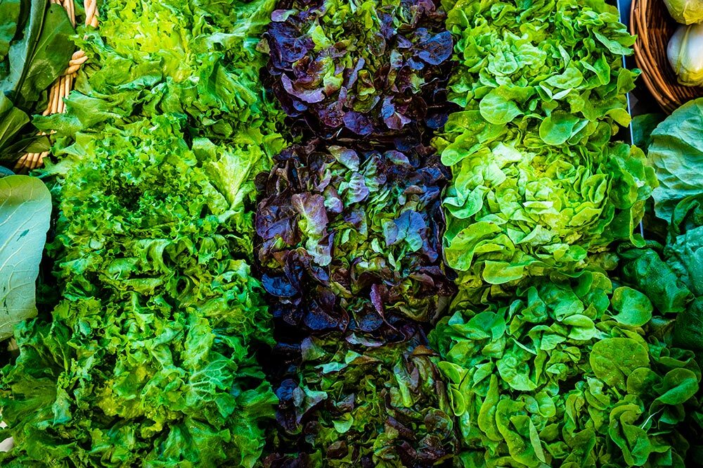 A display of leafy greens at a grocery store.