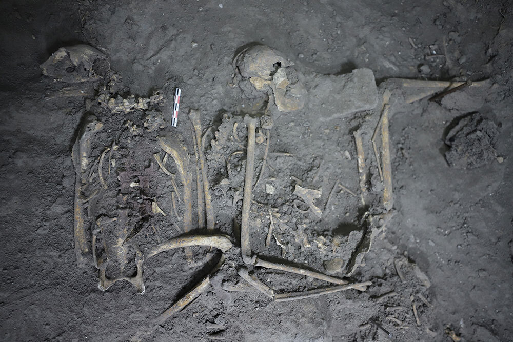 A picture of a bones in an archaeological site