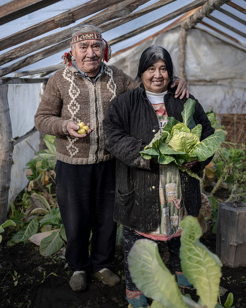 An older couple holds vegetables in their covered garden