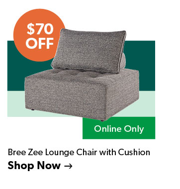 70 dollars off. Featured Bree Zee Lounge Chair with Cushion. Online Only, Click to shop now.