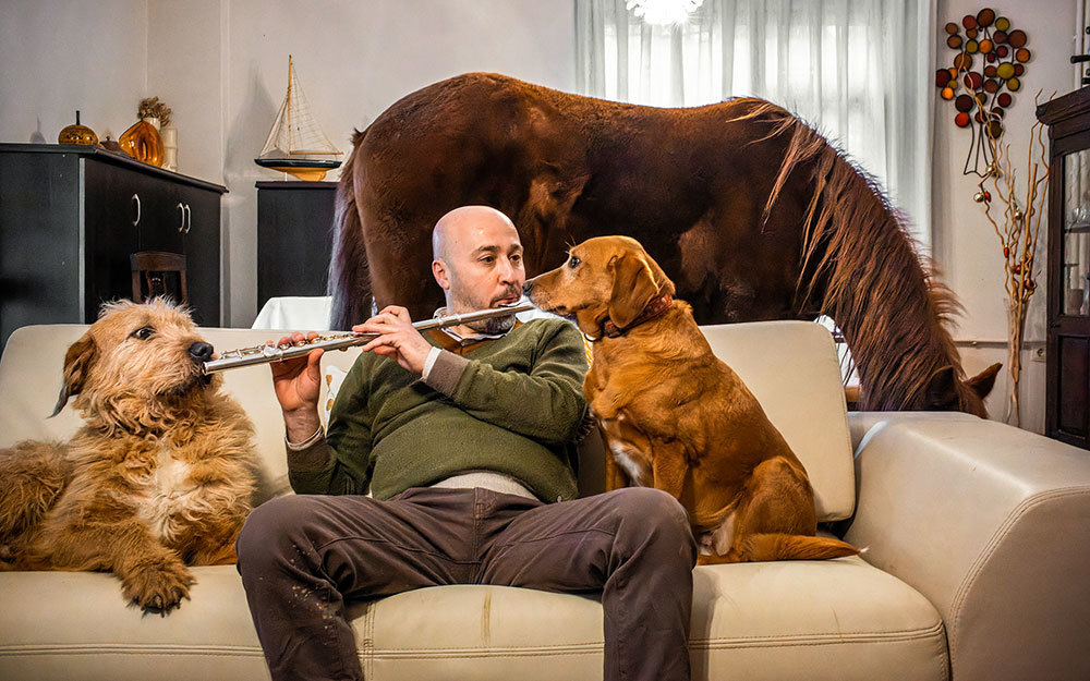 A man plays a flute to his animals