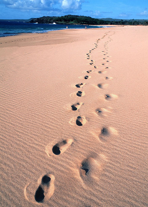 A team of researchers in Australia recently found that regular walking may not only alleviate lower back pain, but also help prevent the pain from returning. 