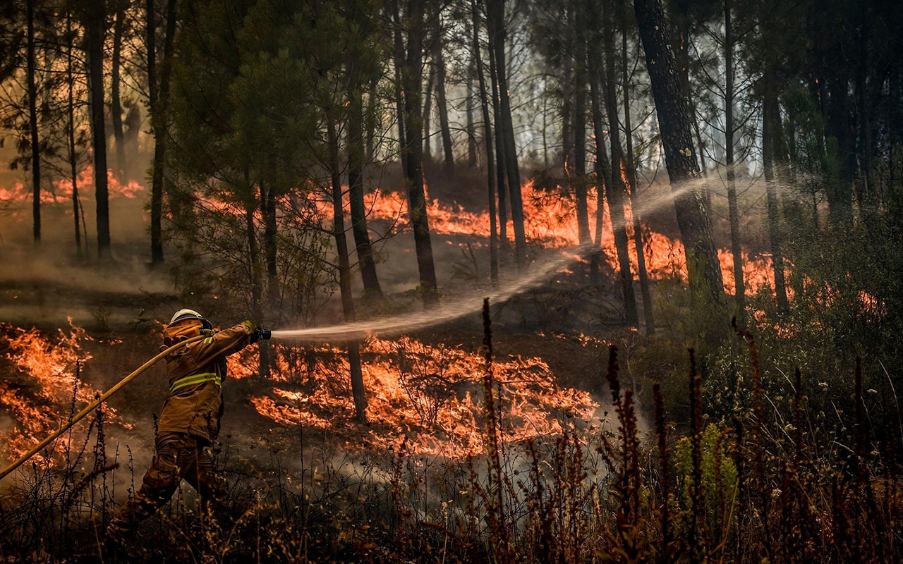 A firefighter tries to extinguish a wildfire in the village of Casais de Sao Bento in Macao in central Portugal.