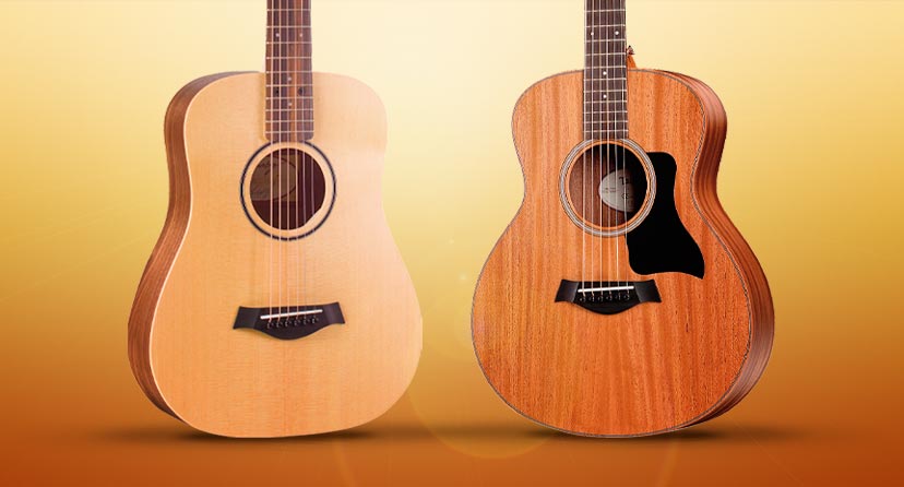 Summer Travel Sales Event. Get a Taylor for as low as $99 when you buy a 200 DLX or higher model. Now thru 8/14. Get Details