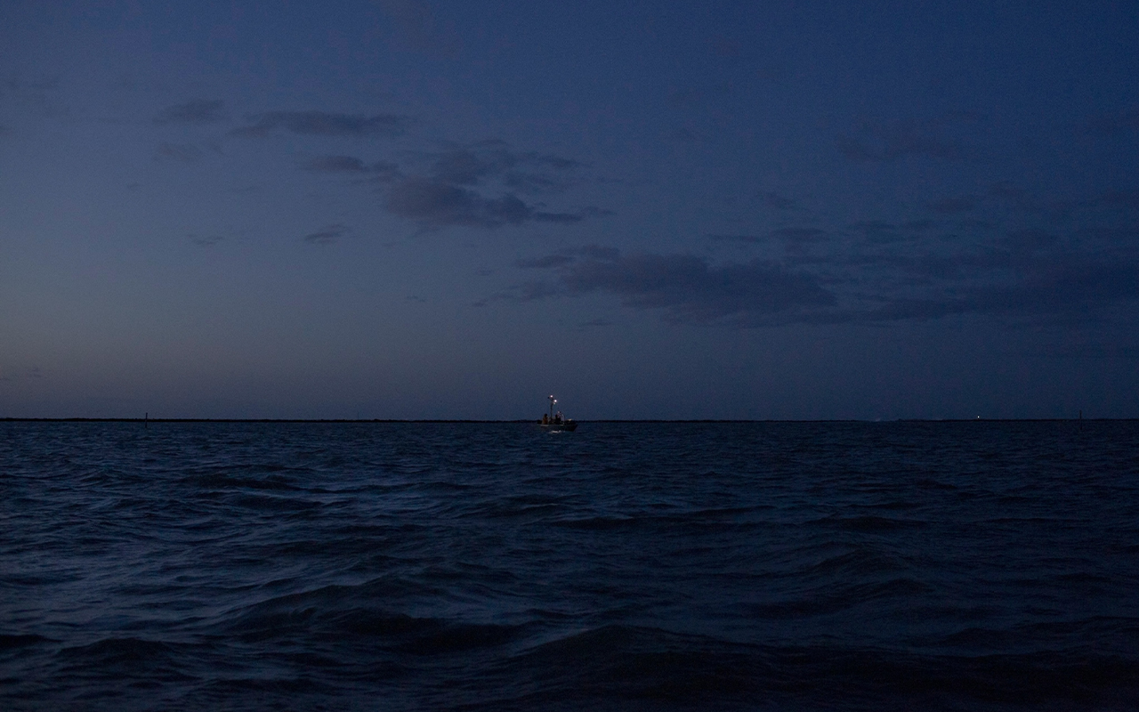 Italy’s Po Delta region is known as a conservation hub, supported by a thriving fishing industry and ecotourism. But few know about the community of women who fish these waters in a traditionally male-dominated profession.