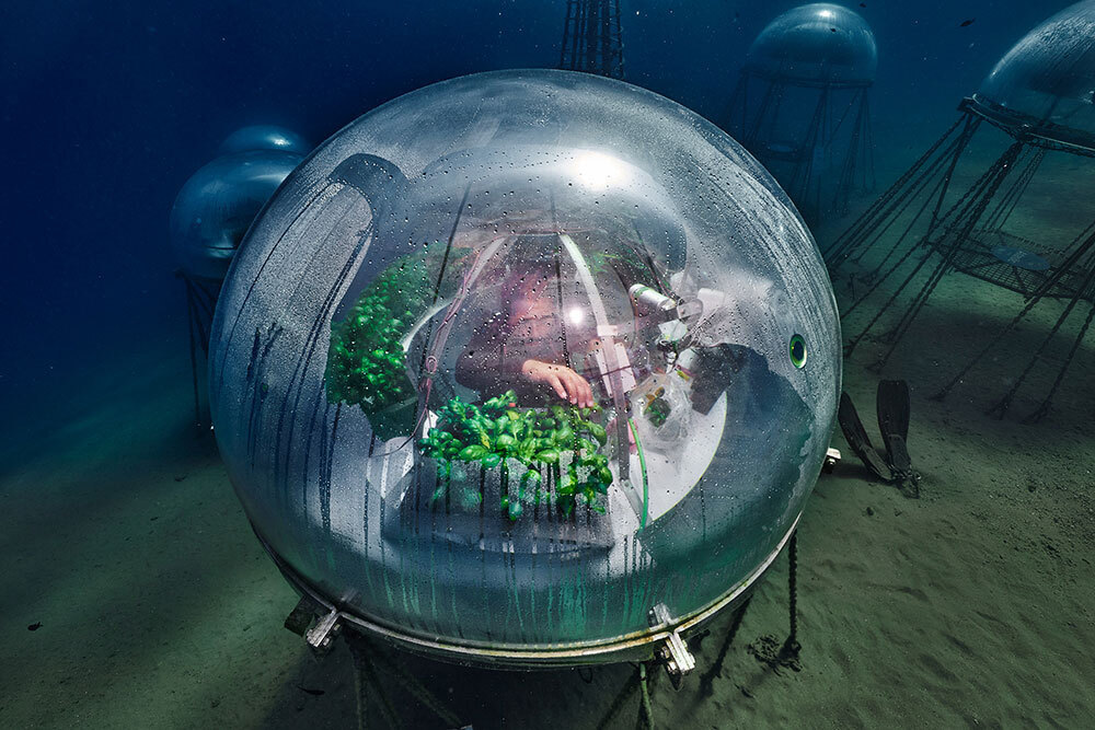 A picture of a person growing plants in a bubble under the water