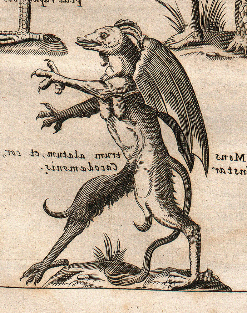 A Jersey Devil-like monster is portrayed in a 1697 illustration