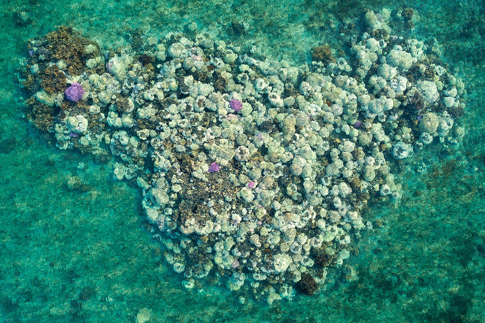 Aerial view of bleaching coral