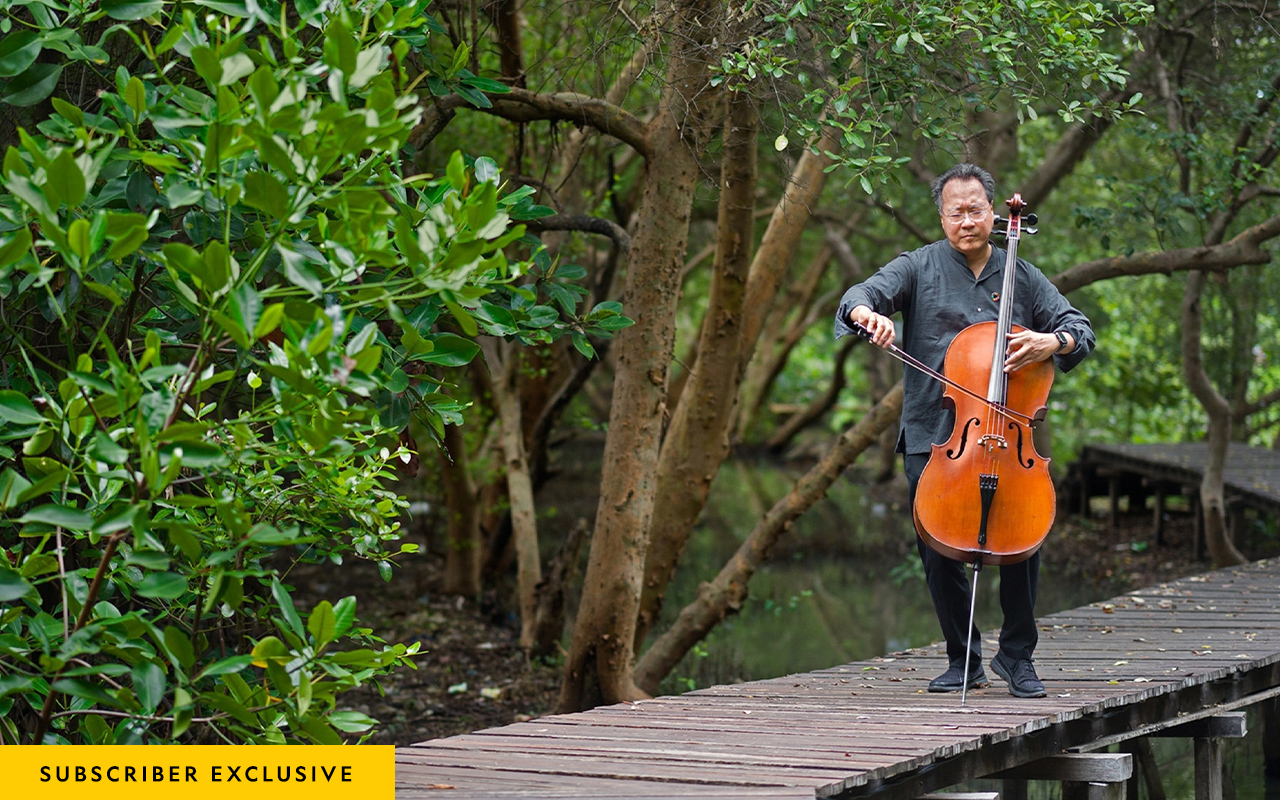 Picture of man playing cello under trees on a boardwalk over swamp.