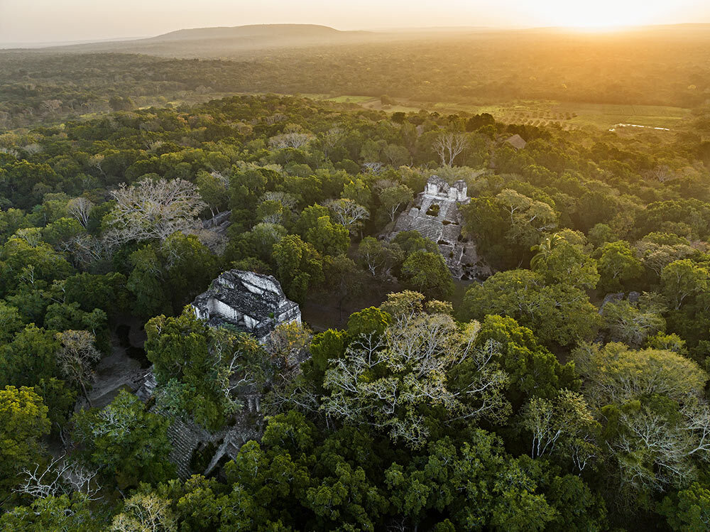 Nested between lush green trees are Mayan structures.