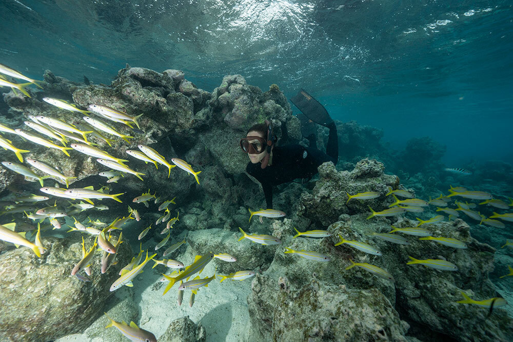 A picture of a person snorkeling