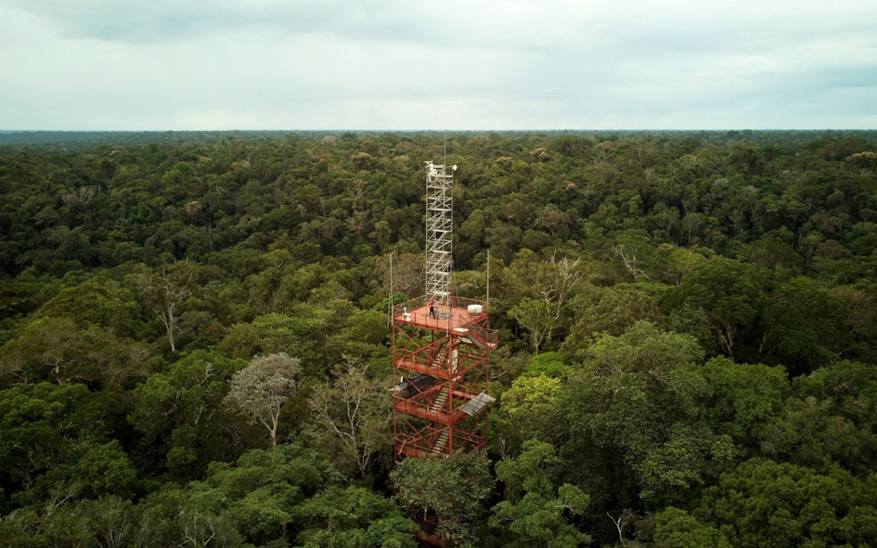 Two hours northwest of Manaus, Brazil, a 131-foot steel tower rises from a pristine area of the rainforest.