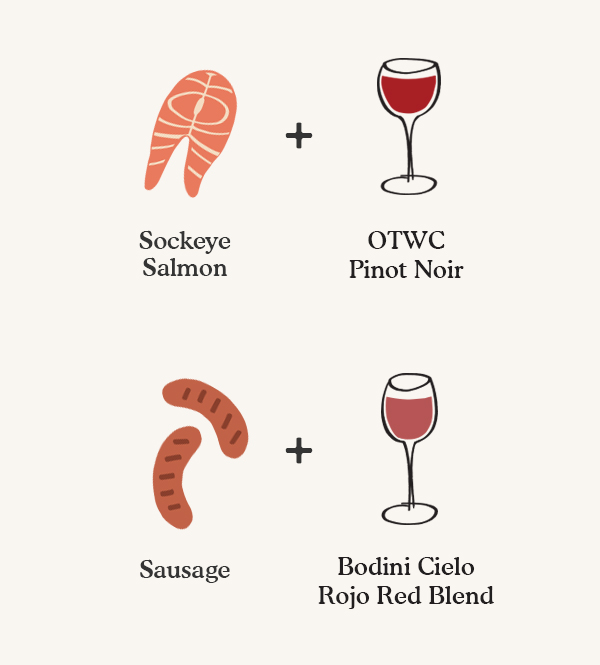 Wine Pairing Infographic