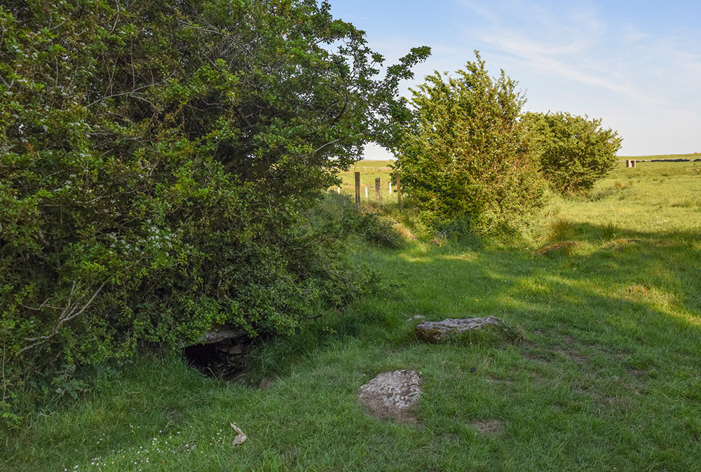 This small hole in a field at Rathcroghan, in County Roscommon, is the entrance to Oweynagat cave, the birthplace of Halloween. Each year on October 31, Celtic ghouls escaped from this cave into the land of the living.