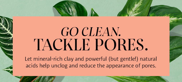 Go Clean. Tackle Pores.