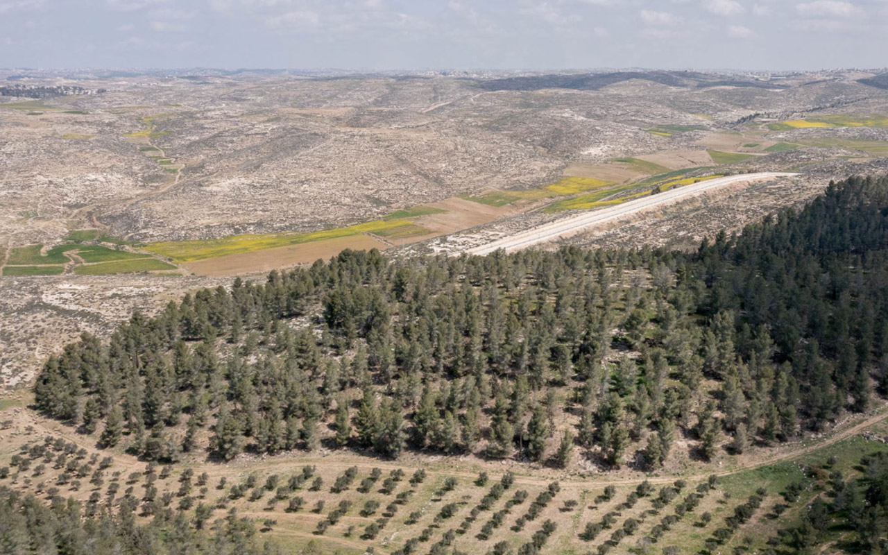 The Yatir Forest in Israel ends at the border with Palestine.