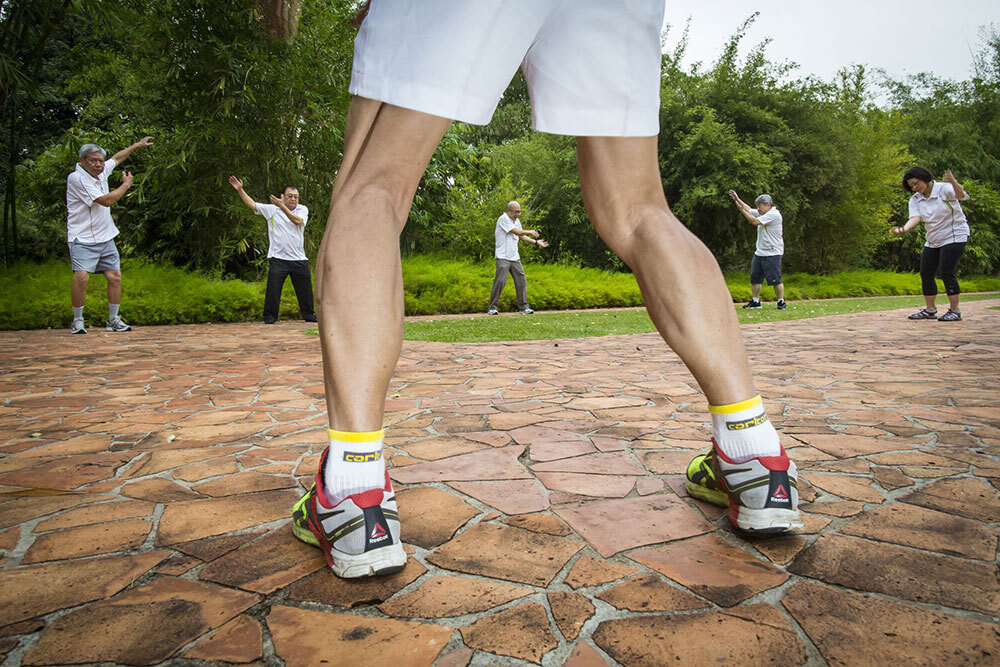 A picture of elderly people exercising in a park