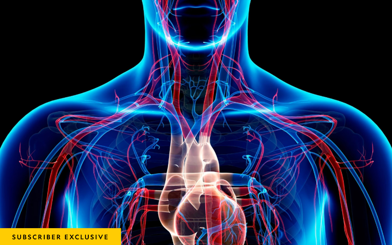 Illustration of torso with heart, arteries and veins illustrated.