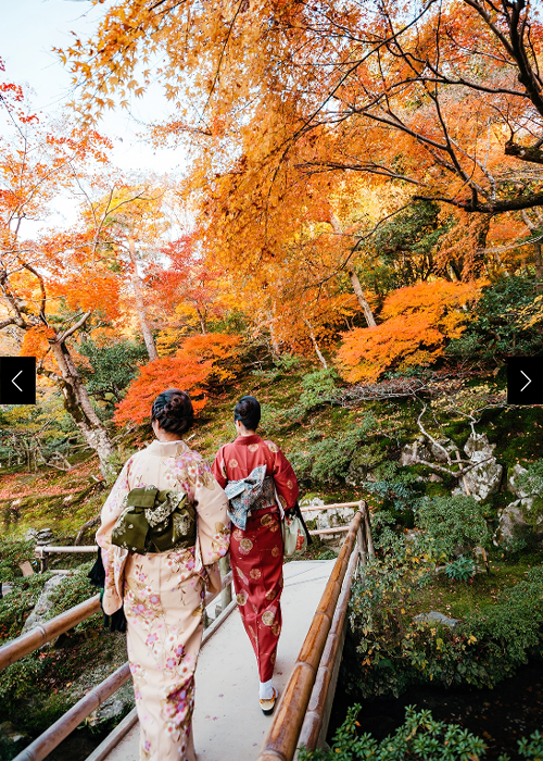 Ginkaku-ji’s temple gardens are one of the best places in Kyoto for this seasonal glory, and locals like to take strolls under the clouds of copper and golden leaves wearing autumnal-design kimonos. 