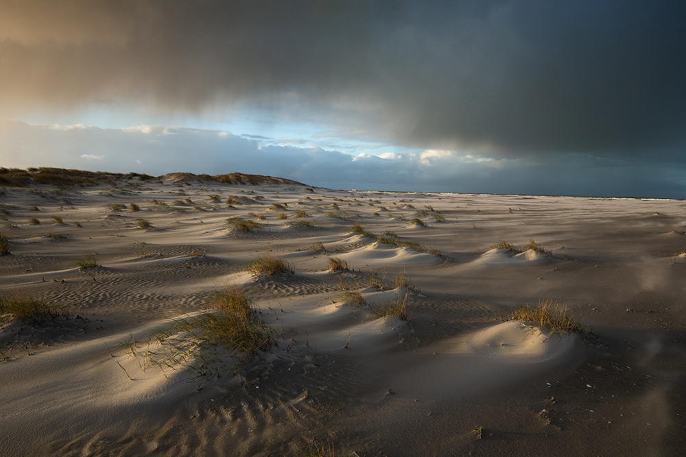 The sea of sand with waves and grass instead of sea foam